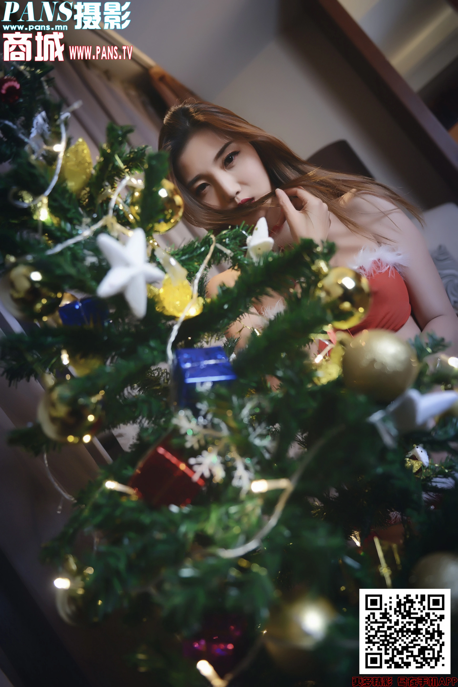 [PANS写真]2019.12.24 NO.1255 小青 2